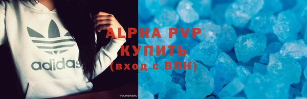 индика Нефтекумск