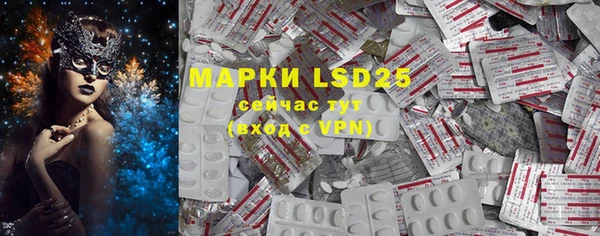 PSILOCYBIN Новозыбков