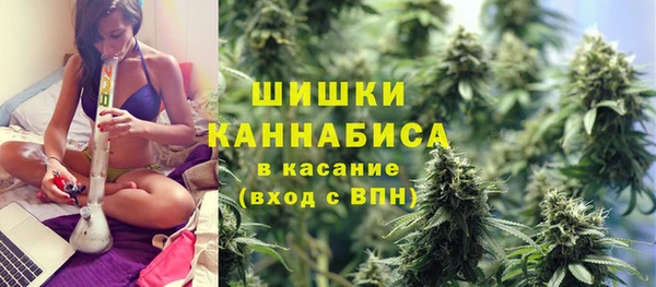 PSILOCYBIN Новозыбков