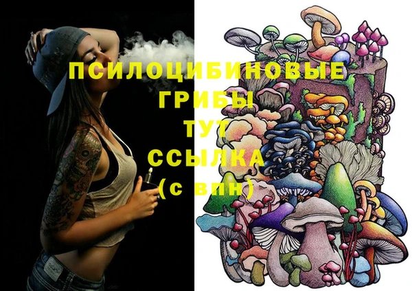 индика Нефтекумск