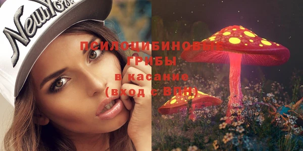 твердый Нея